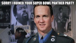 This was my favorite post Super Bowl meme